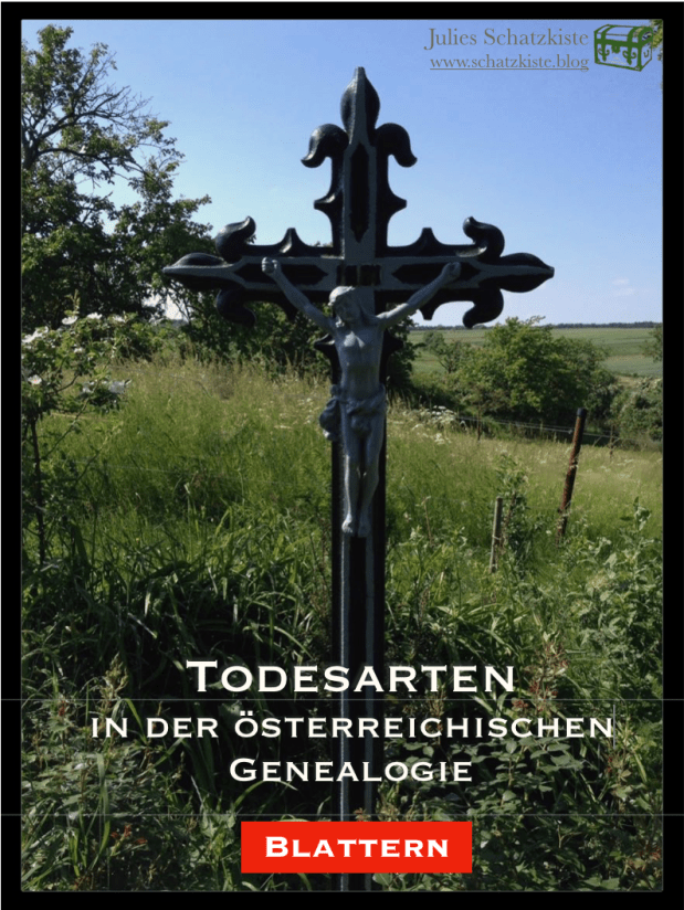 Woran starben unsere Vorfahren?&nbsp;Blattern